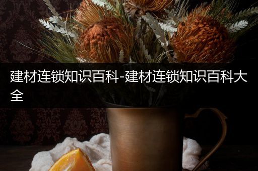 建材连锁知识百科-建材连锁知识百科大全
