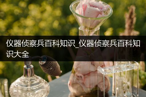 仪器侦察兵百科知识_仪器侦察兵百科知识大全