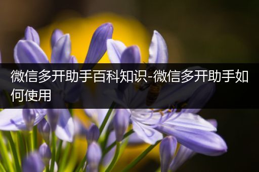 微信多开助手百科知识-微信多开助手如何使用