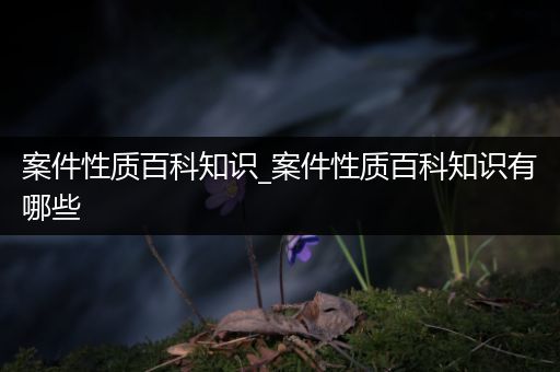 案件性质百科知识_案件性质百科知识有哪些