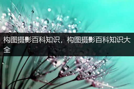 构图摄影百科知识，构图摄影百科知识大全