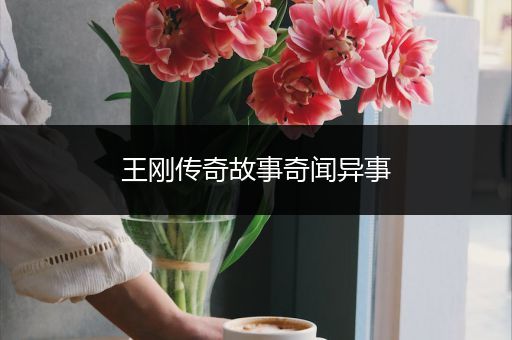 王刚传奇故事奇闻异事