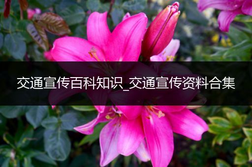 交通宣传百科知识_交通宣传资料合集