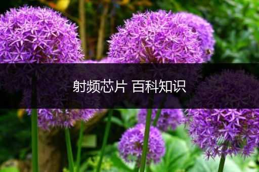 射频芯片 百科知识
