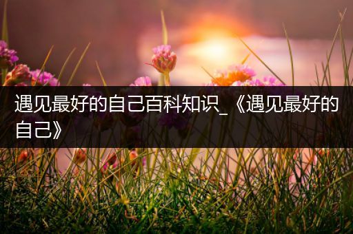 遇见最好的自己百科知识_《遇见最好的自己》