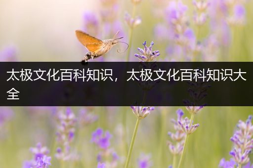 太极文化百科知识，太极文化百科知识大全
