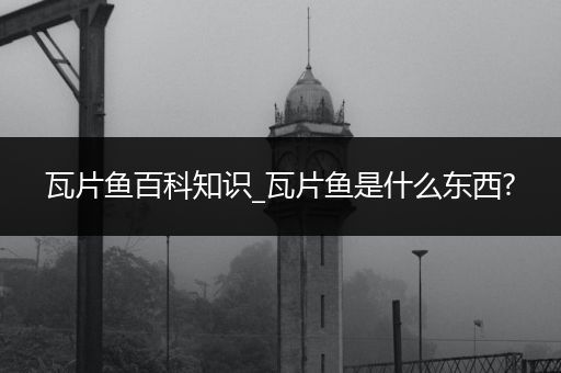 瓦片鱼百科知识_瓦片鱼是什么东西?