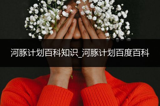 河豚计划百科知识_河豚计划百度百科