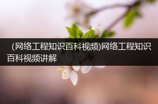 （网络工程知识百科视频)网络工程知识百科视频讲解