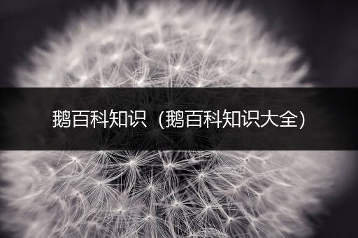 鹅百科知识（鹅百科知识大全）
