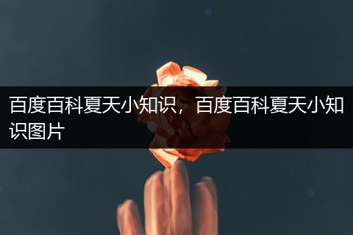 百度百科夏天小知识，百度百科夏天小知识图片