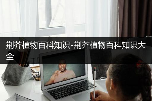 荆芥植物百科知识-荆芥植物百科知识大全