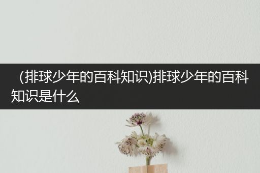 （排球少年的百科知识)排球少年的百科知识是什么