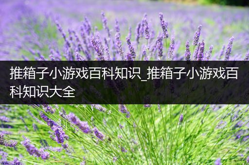 推箱子小游戏百科知识_推箱子小游戏百科知识大全