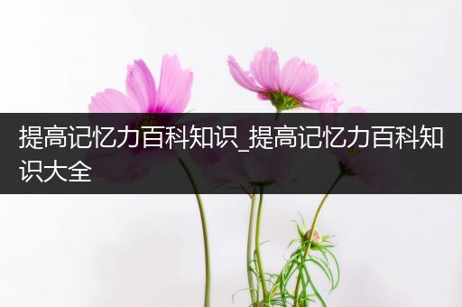 提高记忆力百科知识_提高记忆力百科知识大全