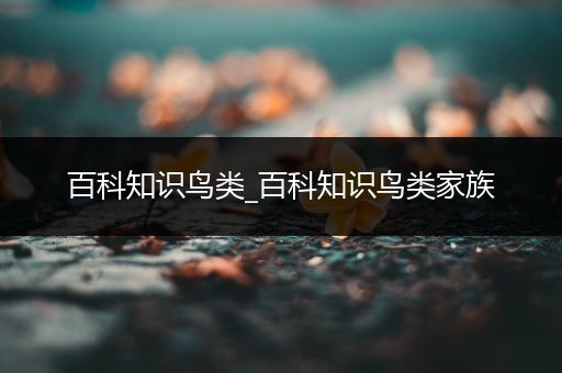 百科知识鸟类_百科知识鸟类家族