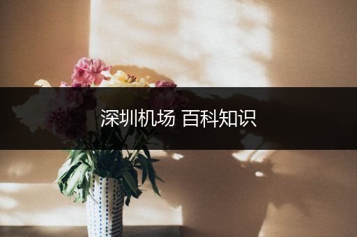 深圳机场 百科知识