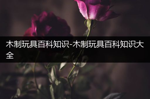 木制玩具百科知识-木制玩具百科知识大全