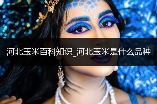 河北玉米百科知识_河北玉米是什么品种