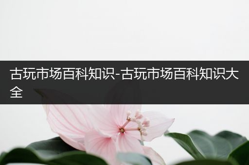 古玩市场百科知识-古玩市场百科知识大全
