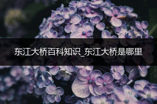 东江大桥百科知识_东江大桥是哪里