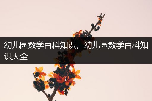 幼儿园数学百科知识，幼儿园数学百科知识大全