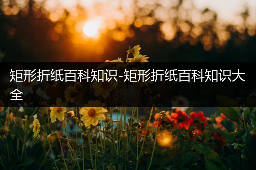 矩形折纸百科知识-矩形折纸百科知识大全
