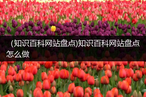 （知识百科网站盘点)知识百科网站盘点怎么做