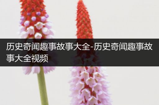 历史奇闻趣事故事大全-历史奇闻趣事故事大全视频