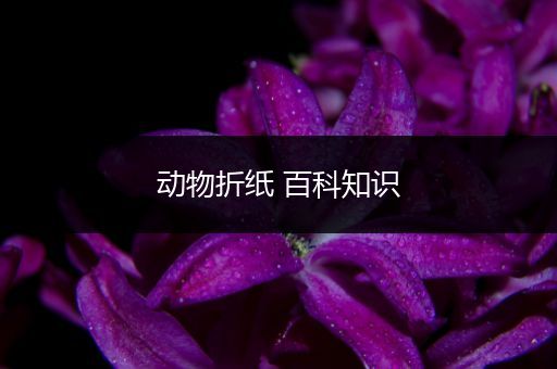 动物折纸 百科知识