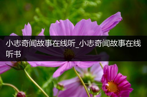 小志奇闻故事在线听_小志奇闻故事在线听书