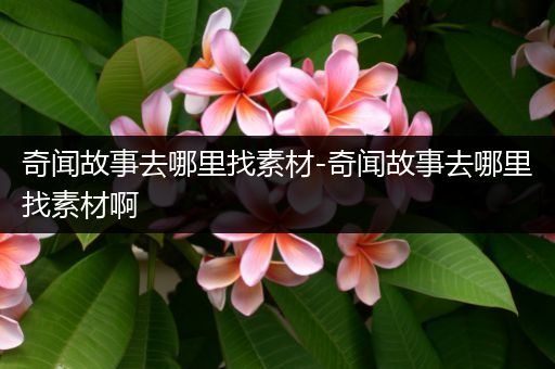 奇闻故事去哪里找素材-奇闻故事去哪里找素材啊