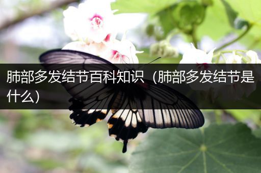 肺部多发结节百科知识（肺部多发结节是什么）