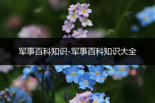军事百科知识-军事百科知识大全