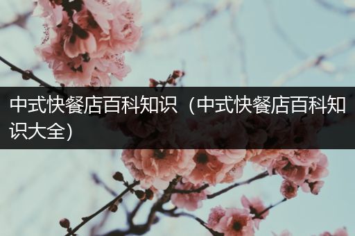 中式快餐店百科知识（中式快餐店百科知识大全）