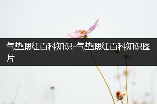 气垫腮红百科知识-气垫腮红百科知识图片