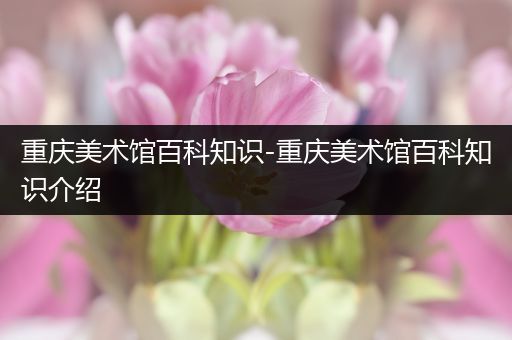 重庆美术馆百科知识-重庆美术馆百科知识介绍