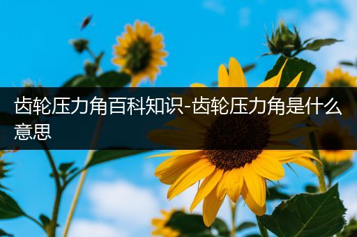 齿轮压力角百科知识-齿轮压力角是什么意思