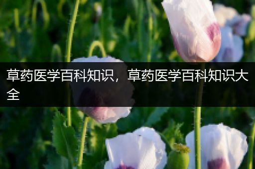 草药医学百科知识，草药医学百科知识大全