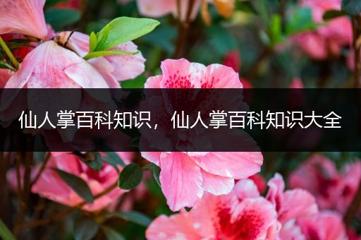 仙人掌百科知识，仙人掌百科知识大全