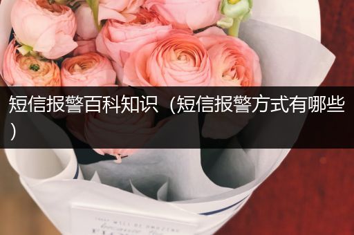 短信报警百科知识（短信报警方式有哪些）