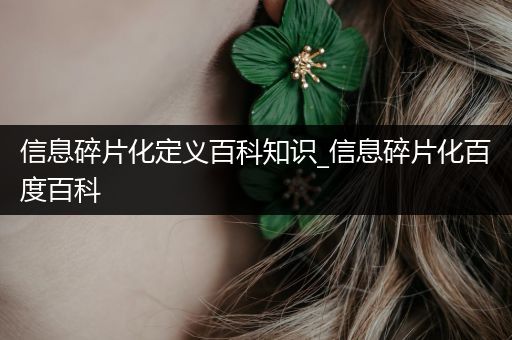 信息碎片化定义百科知识_信息碎片化百度百科