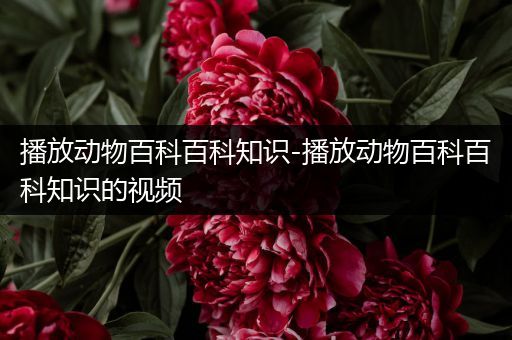 播放动物百科百科知识-播放动物百科百科知识的视频