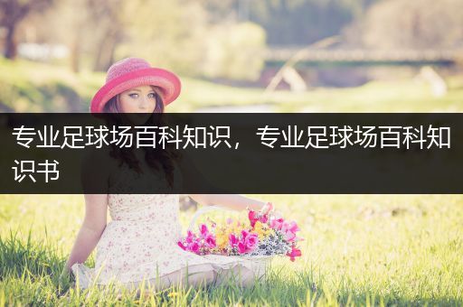 专业足球场百科知识，专业足球场百科知识书