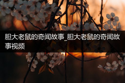 胆大老鼠的奇闻故事_胆大老鼠的奇闻故事视频