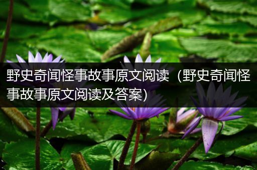 野史奇闻怪事故事原文阅读（野史奇闻怪事故事原文阅读及答案）