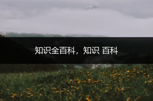 知识全百科，知识 百科