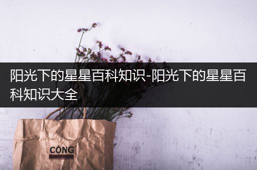 阳光下的星星百科知识-阳光下的星星百科知识大全