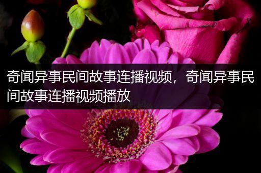 奇闻异事民间故事连播视频，奇闻异事民间故事连播视频播放