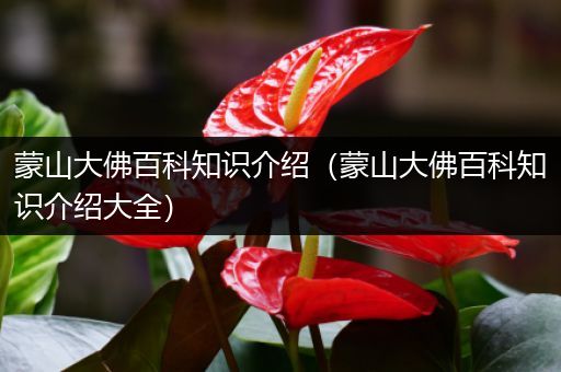 蒙山大佛百科知识介绍（蒙山大佛百科知识介绍大全）